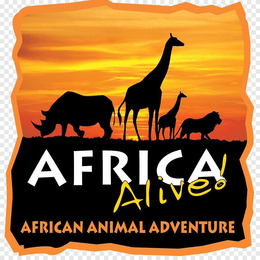 🦁 Africa Alive Zoological Reserve – Family Day Out in Suffolk